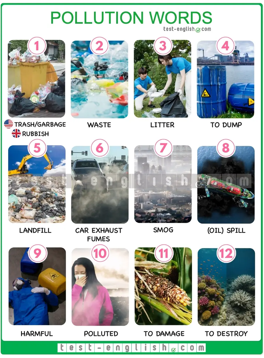 Vocabulary chart for an English lesson with 12 pictures showing common pollution words like smog, waste, oil spill, and to recycle.
