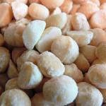 Close-up of many macadamia nuts with a slightly salted surface.
